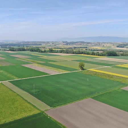 Les Moucherons Avenches Exterior photo