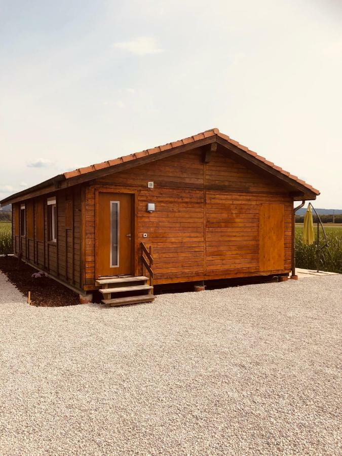 Les Moucherons Avenches Exterior photo