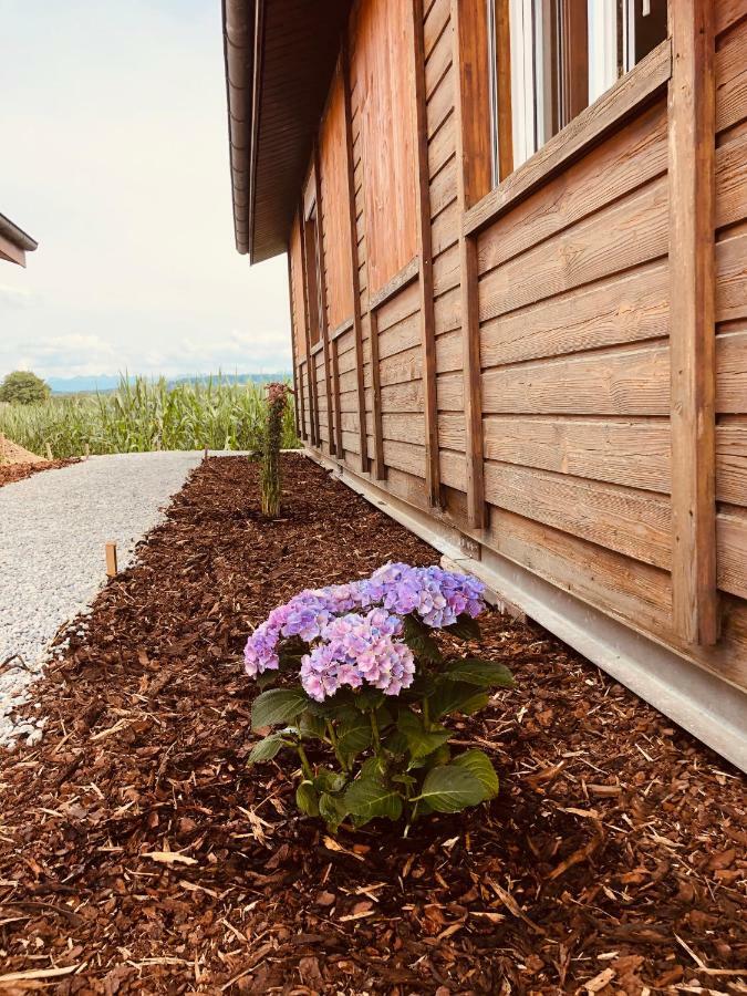 Les Moucherons Avenches Exterior photo