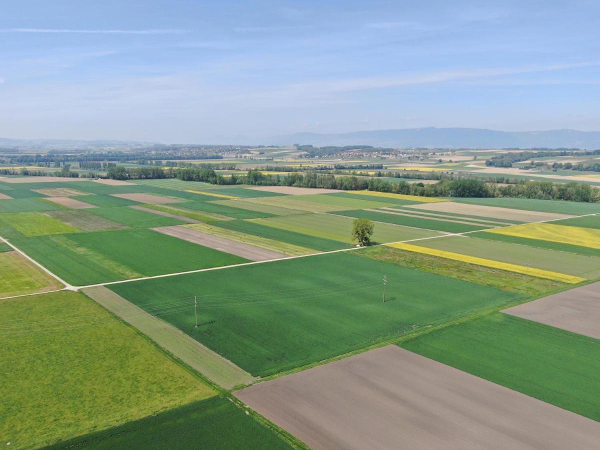 Les Moucherons Avenches Exterior photo